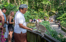 Discova Day Tours and Activities10