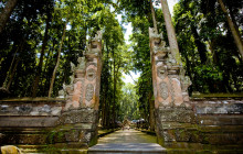 Discova Day Tours and Activities12