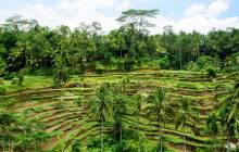 Discova Day Tours and Activities18
