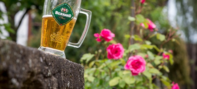 Prague Small Group Beer Garden Tour