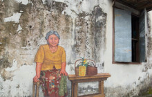 Discova Day Tours and Activities10