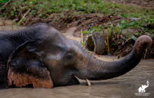 Discova Day Tours and Activities1