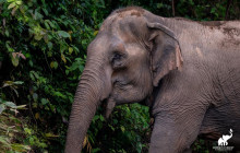 Discova Day Tours and Activities2