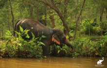 Discova Day Tours and Activities3