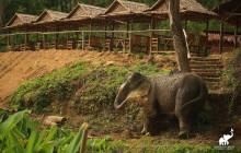 Discova Day Tours and Activities7