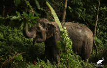 Discova Day Tours and Activities10