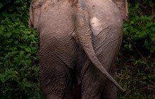 Discova Day Tours and Activities13