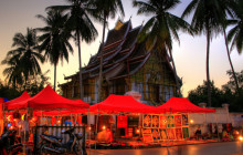 Discova Day Tours and Activities1
