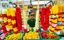 Discova Day Tours and Activities2