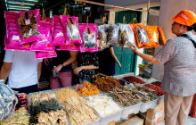 Discova Day Tours and Activities8