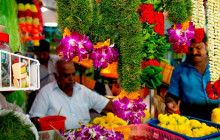 Discova Day Tours and Activities11