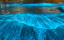 Discova Day Tours and Activities2