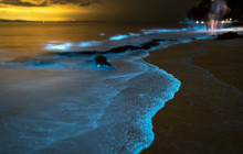 Discova Day Tours and Activities8