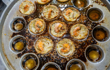 Discova Day Tours and Activities8