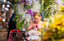 Discova Day Tours and Activities10