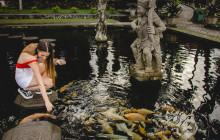 Discova Day Tours and Activities2