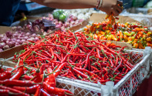 Discova Day Tours and Activities7