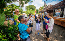 Discova Day Tours and Activities3