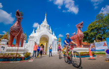 Discova Day Tours and Activities6