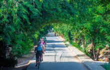 Discova Day Tours and Activities8