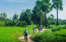 Discova Day Tours and Activities11