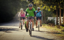 Discova Day Tours and Activities2