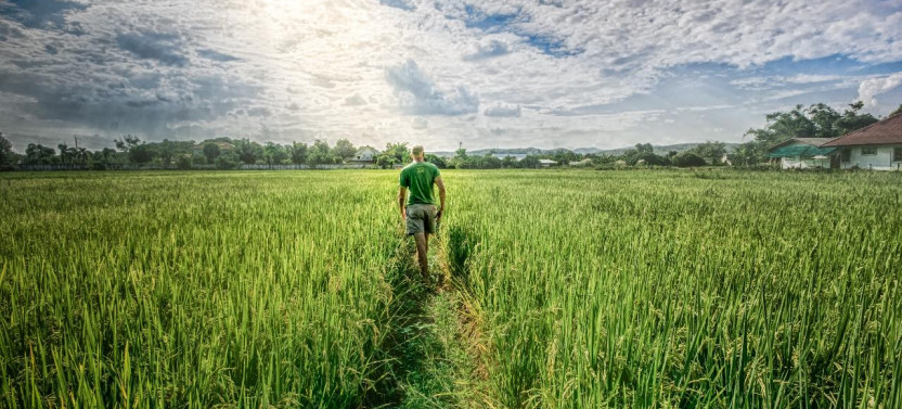 Private Chiang Mai Countryside By Bike