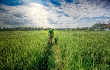 Discova Day Tours and Activities3