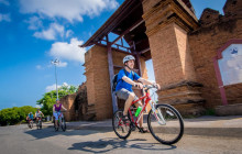 Discova Day Tours and Activities10