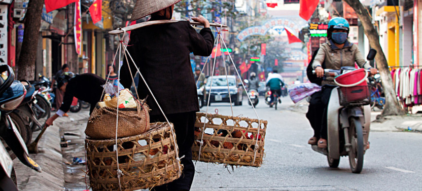 Discover The Charm Of Hanoi: A Guided Morning Walking Tour