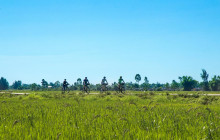 Discova Day Tours and Activities8