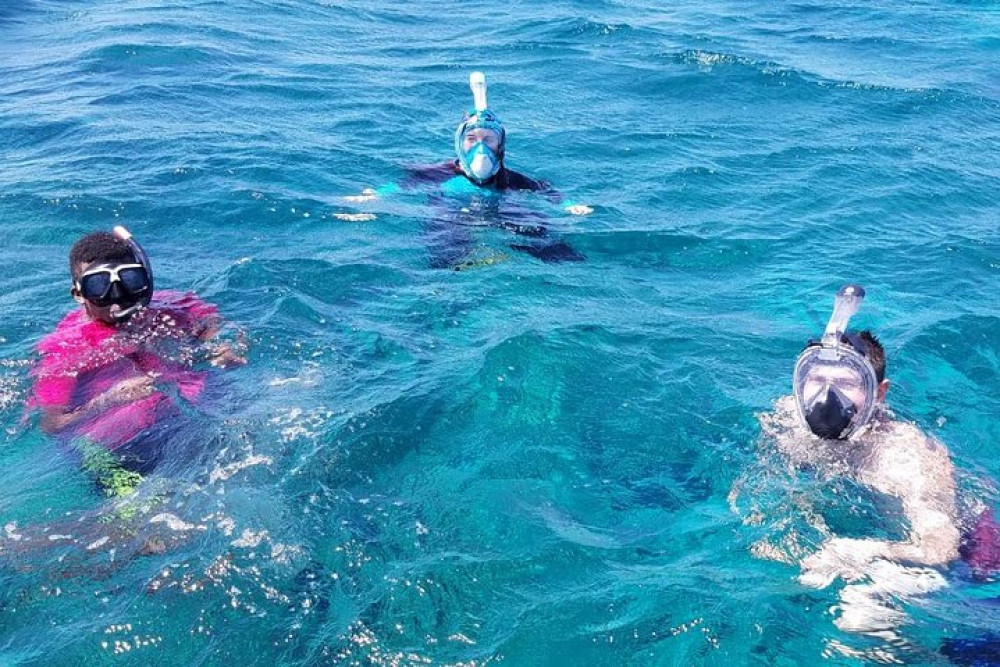 3 Hour Snorkeling Adventure In Roatan