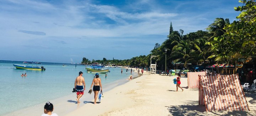 Manawakie Monkey Slots Eco Park with Offshore Reef Snorkel