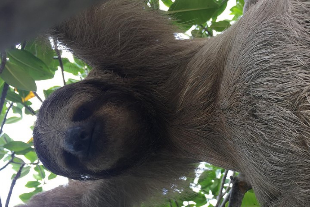 Roatán Manawakie Eco Park Experience with Offshore Reef Snorkel by Boat