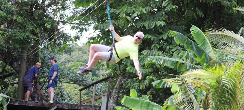 Jungle Top Zip Line with Monkey, Slots Eco-park