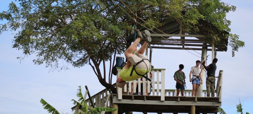 Jungle Top Zip Line with Monkey, Slots Eco-park