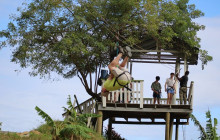 Roatan Anderson Tours4