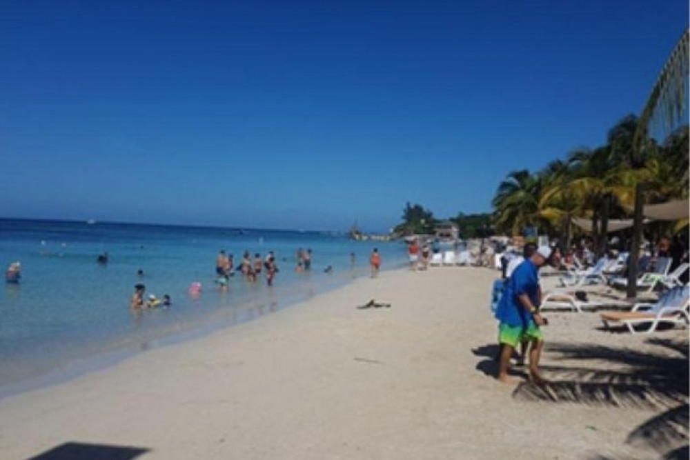 Roatan Monkey & Sloth Hangout with Reef Snorkel By Boat And Beach