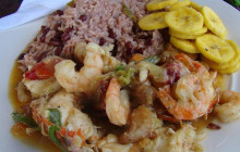 Roatan Anderson Tours1