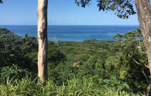 Roatan Anderson Tours12