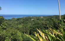 Roatan Anderson Tours13
