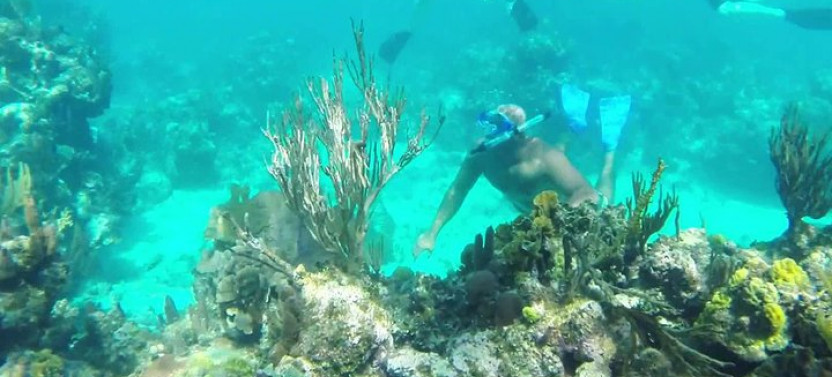 Horseback Riding with Monkey, Slots and Reef Snorkel