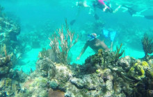 Roatan Anderson Tours2