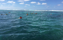 Roatan Anderson Tours16