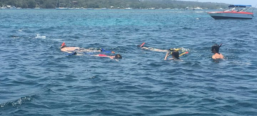 Roatan Two Stop Reef Snorkel By Boat