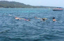 Roatan Anderson Tours2