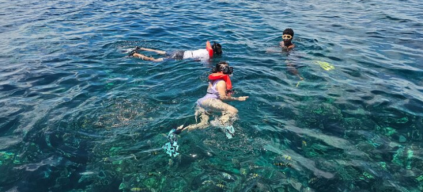 Roatan Extreme Zip Line with Monkey, Sloth and Reef Snorkel
