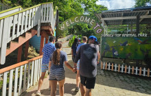 Roatan Anderson Tours15