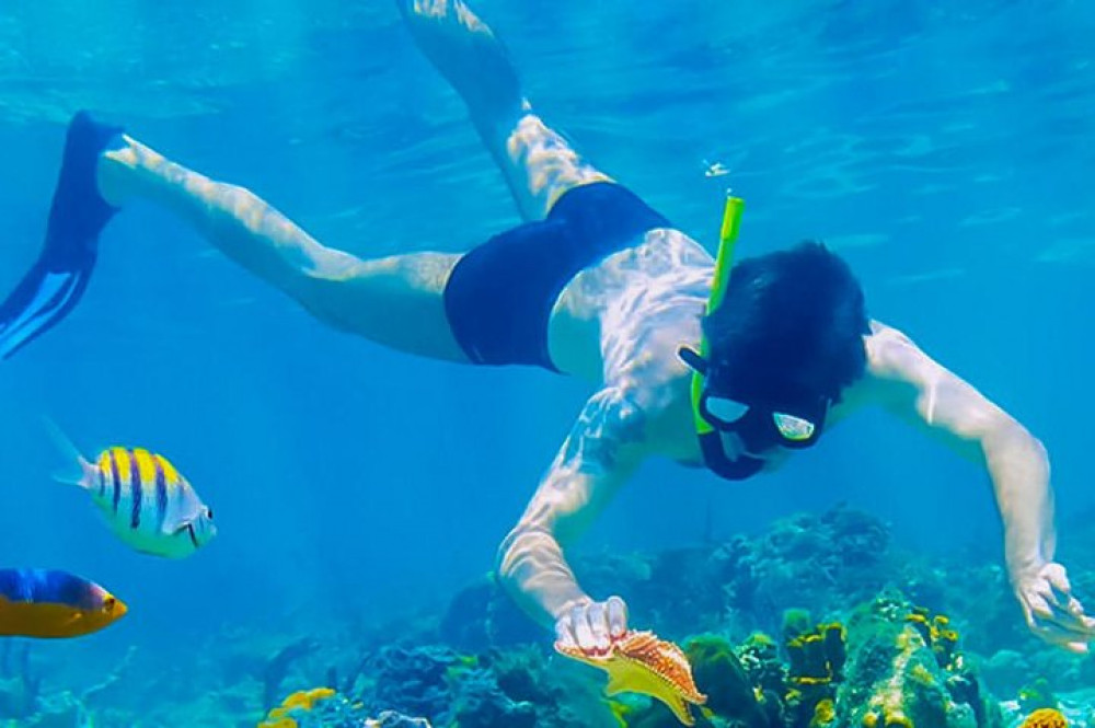 Historical Cultural Roatan Muncipal Market And Reef Snorkeling Adventure