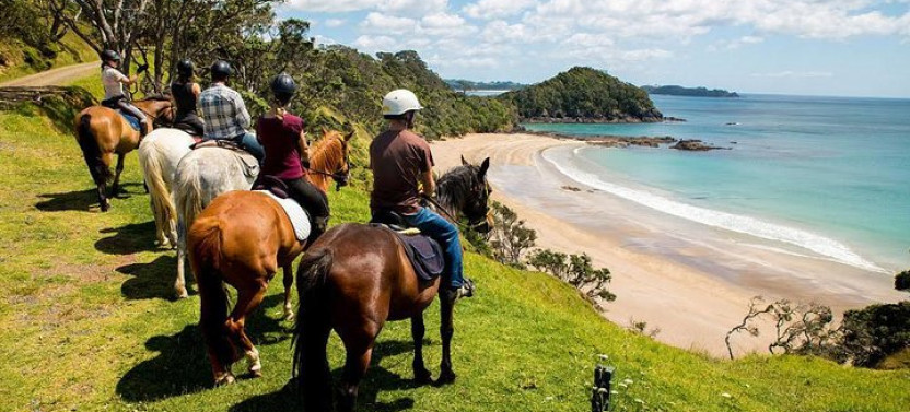 Half-day Combo Horseback, Zip Line, Monkey, Sloths and Snorkel